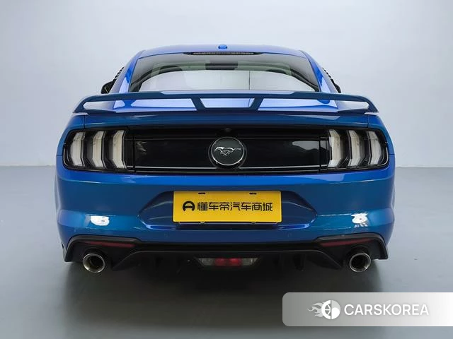 Ford Mustang id 4374579 из Китая 20