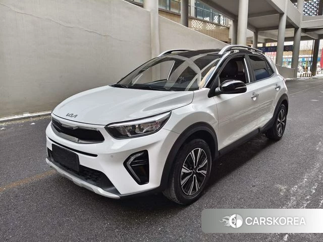 Kia Yi Ran id 4255730 из Китая 12