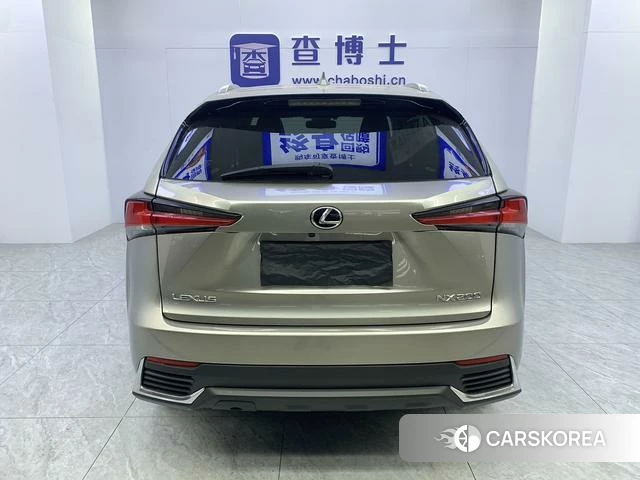 Lexus NX id 4279202 из Китая 20