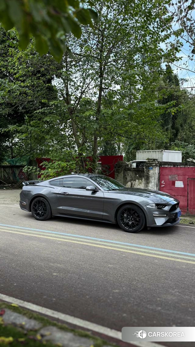 Ford Mustang id 4394173 из Китая 10