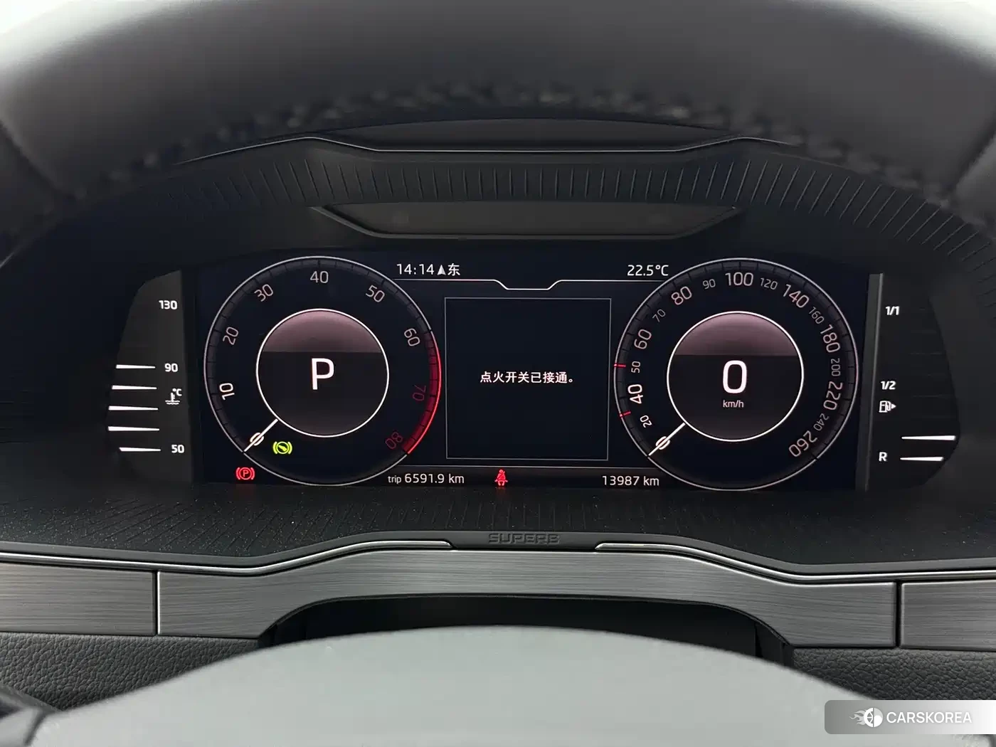 Skoda Speed pie id 4570642 из Китая 22