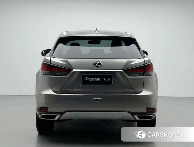 Lexus RX id 4365652 из Китая 17