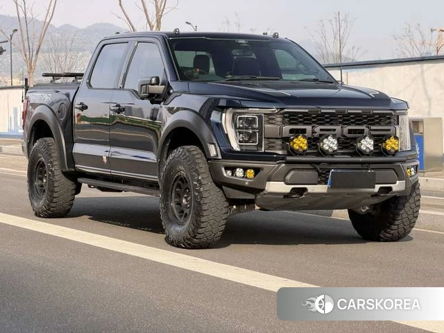 Ford F-150 Raptor id 4374563 из Китая 21