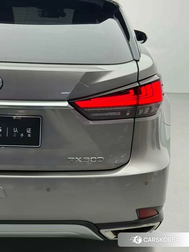 Lexus RX id 4314139 из Китая 15