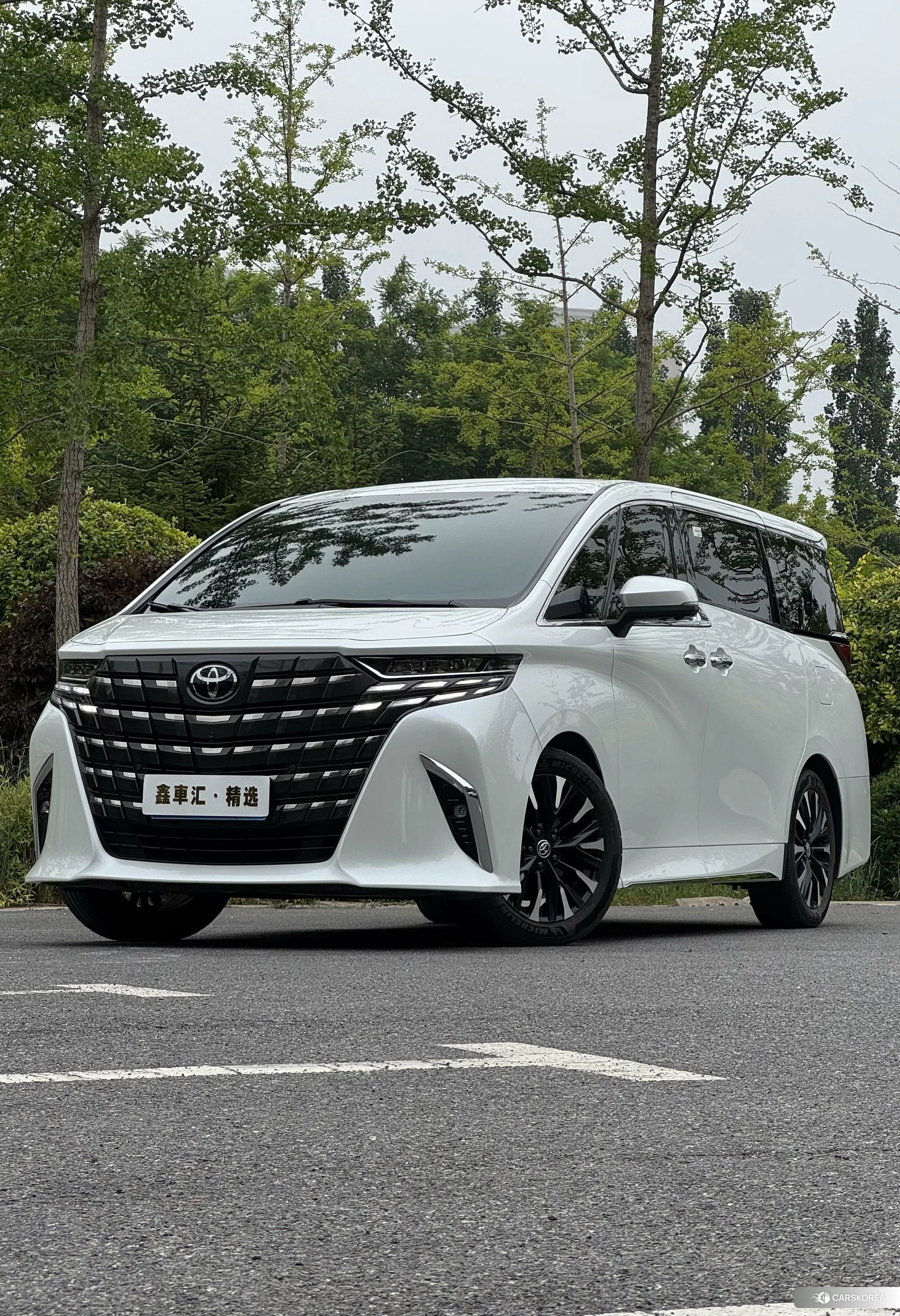 Toyota Elfa id 4454654 из Китая 22