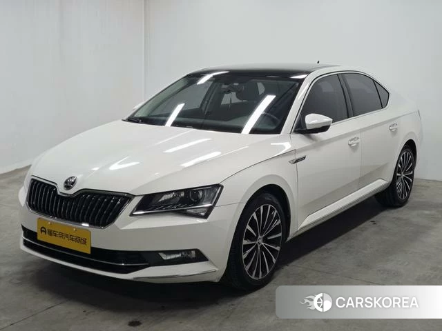 Skoda Speed pie id 4212782 из Китая 20