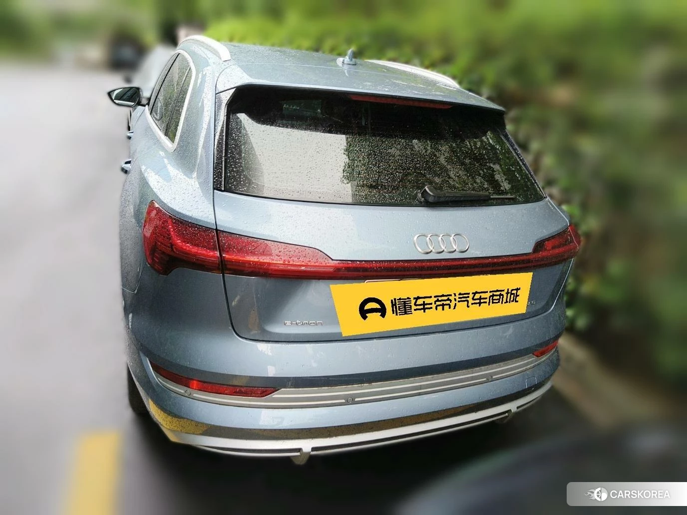 Audi e-tron id 4510812 из Китая 21