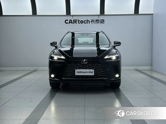 Lexus RX id 3920388 из Китая 30