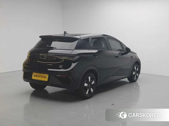 BYD dolphin id 3957663 из Китая 20