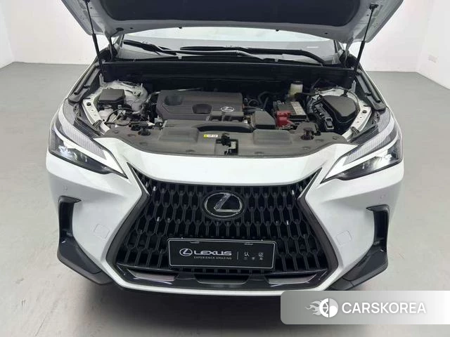 Lexus NX id 3920262 из Китая 18