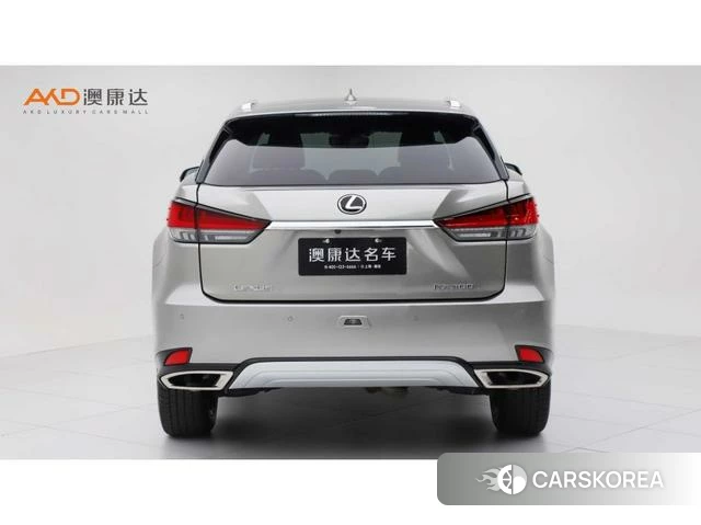 Lexus RX id 4301363 из Китая 10