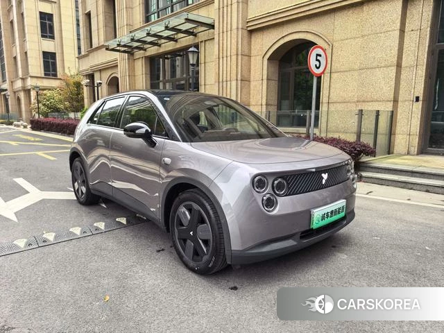 firefly firefly Unknown id 3969201 из Китая 16