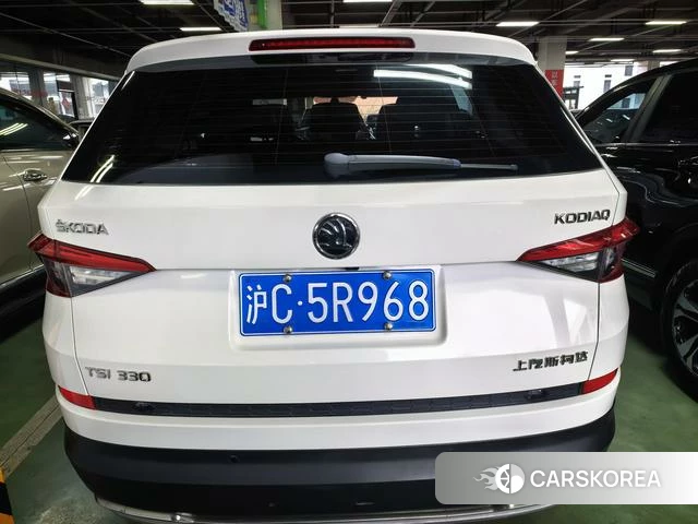 Skoda Kodiak id 4238897 из Китая 11