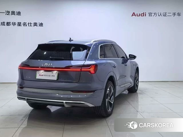 Audi e-tron id 4265961 из Китая 18