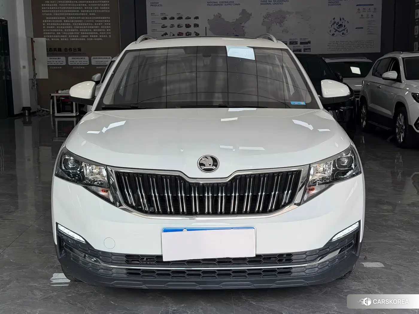 Skoda Kamiq id 4655192 из Китая 16