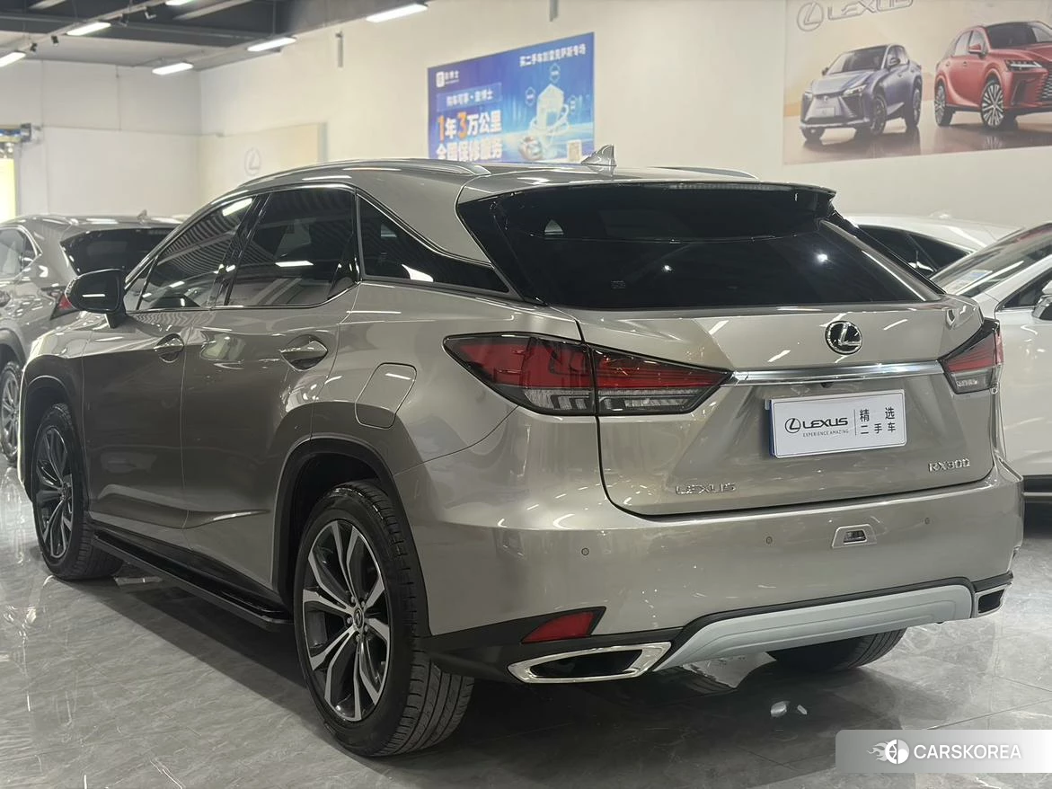 Lexus RX id 4510959 из Китая 19