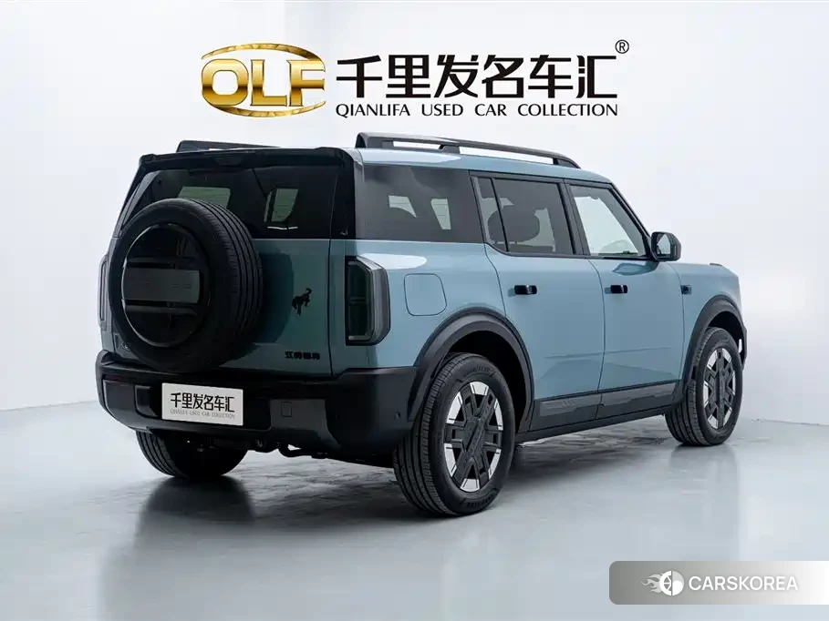 Ford Smart Fun Horse id 4577791 из Китая 22