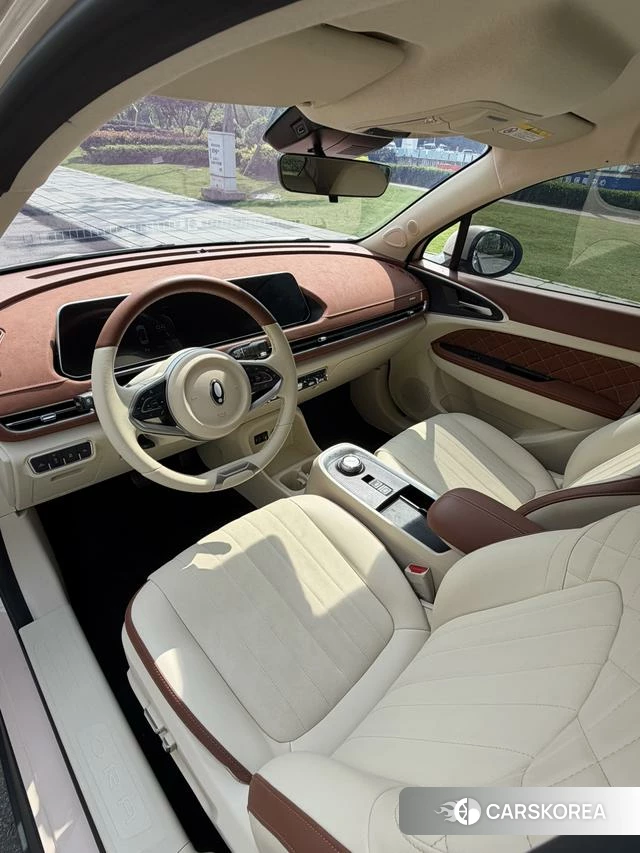 Euler Good cat id 3957813 из Китая 16