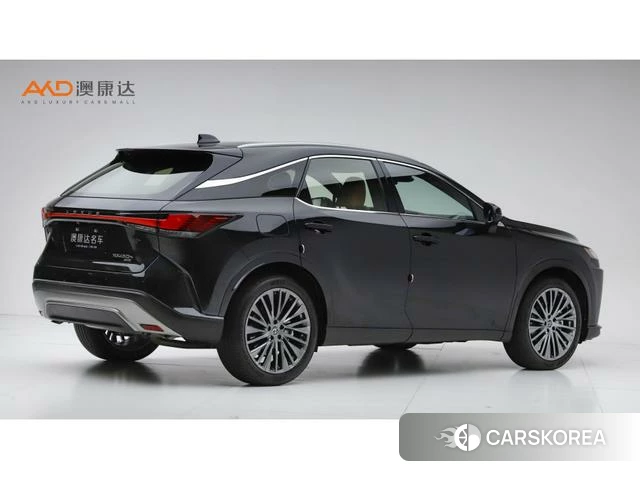 Lexus RX PHEV 2024 Черный из Китая, фото 5