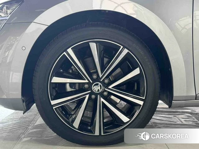 Skoda Speed pie id 3983465 из Китая 19