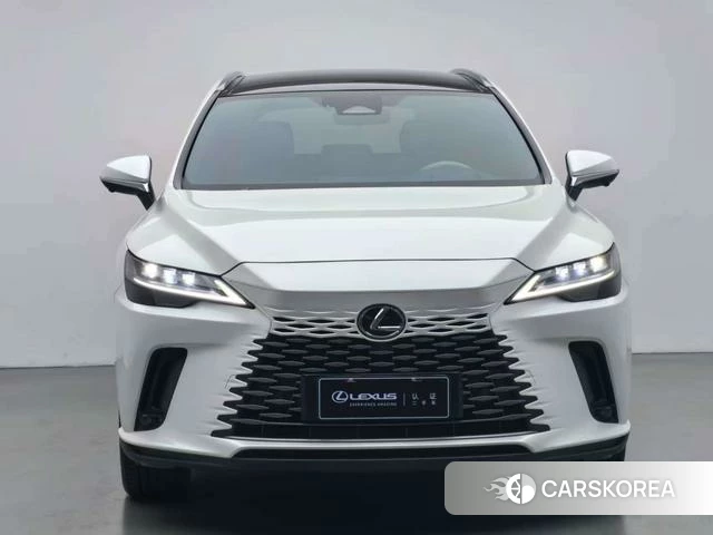 Lexus RX PHEV id 4277362 из Китая 16