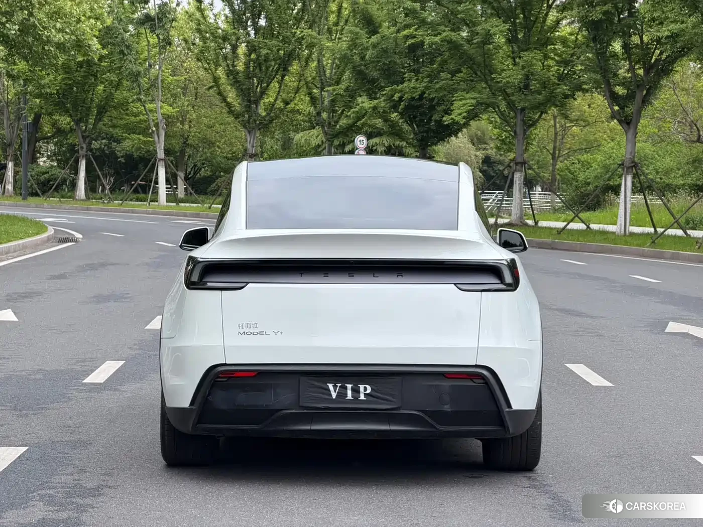 Tesla Model Y id 4577727 из Китая 16