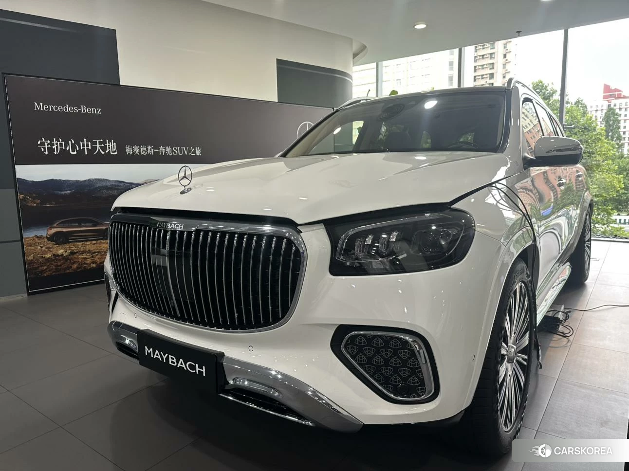 Mercedes-Benz Maybach GLS id 4454207 из Китая 14