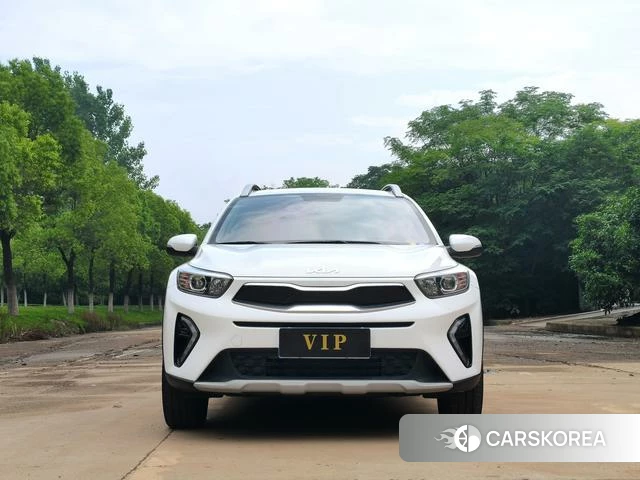 Kia Yi Ran id 4359047 из Китая 22