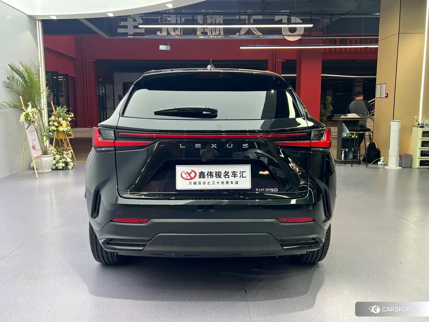 Lexus NX id 4546031 из Китая 19
