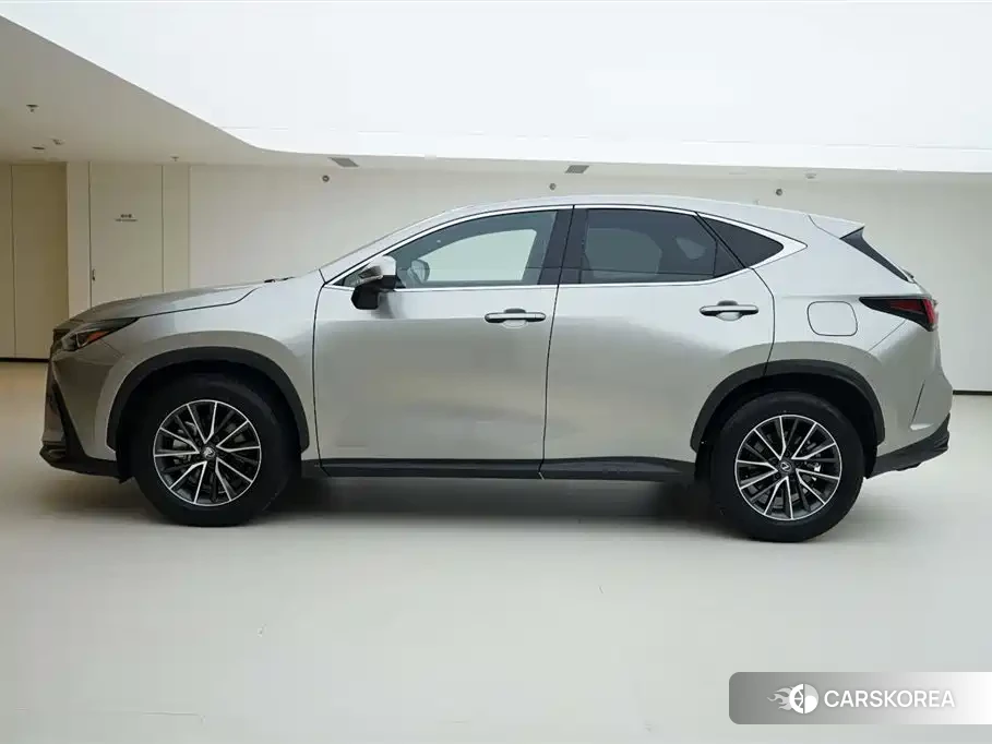 Lexus NX id 4539145 из Китая 21