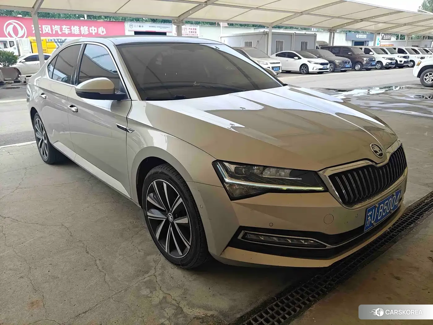Skoda Speed pie id 4570581 из Китая 16