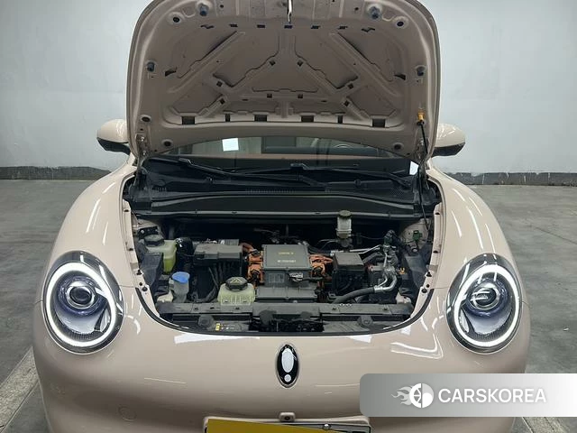 Euler Good cat id 3875987 из Китая 20