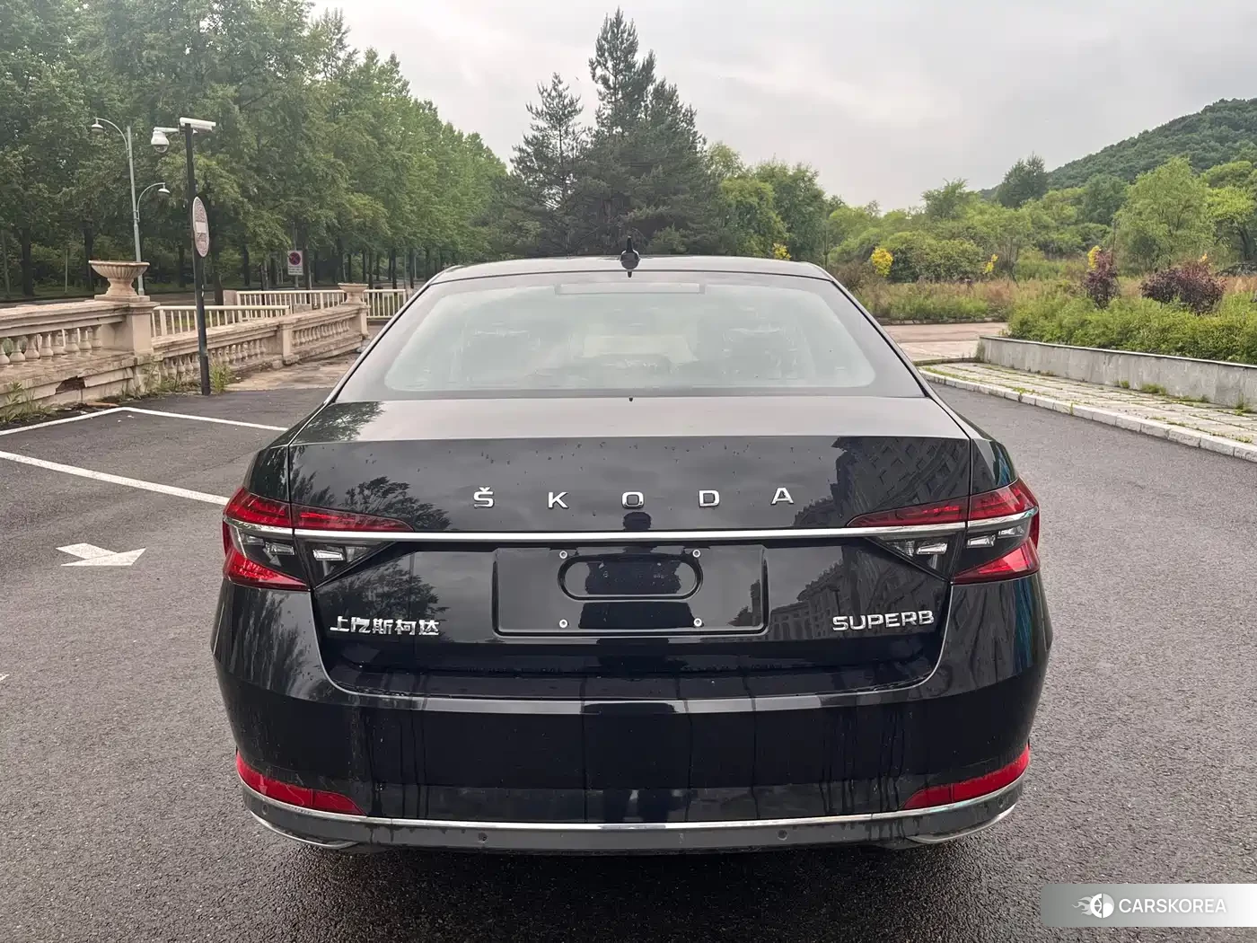Skoda Speed pie id 4538584 из Китая 15