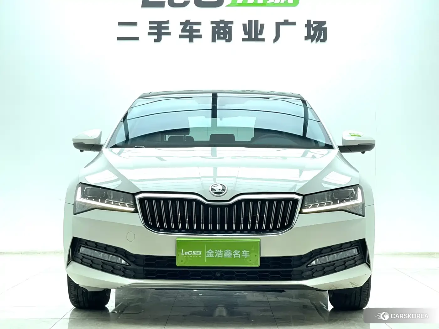 Skoda Speed pie id 4548217 из Китая 22