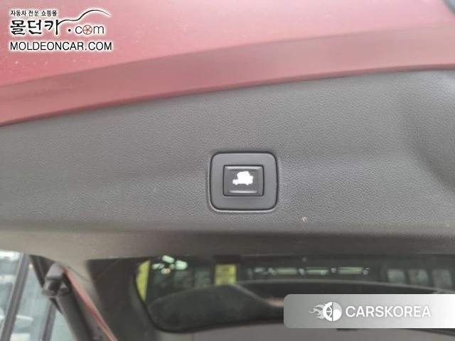 Chevrolet (GM Daewoo) Trailblazer id 4502034 из Кореи 13