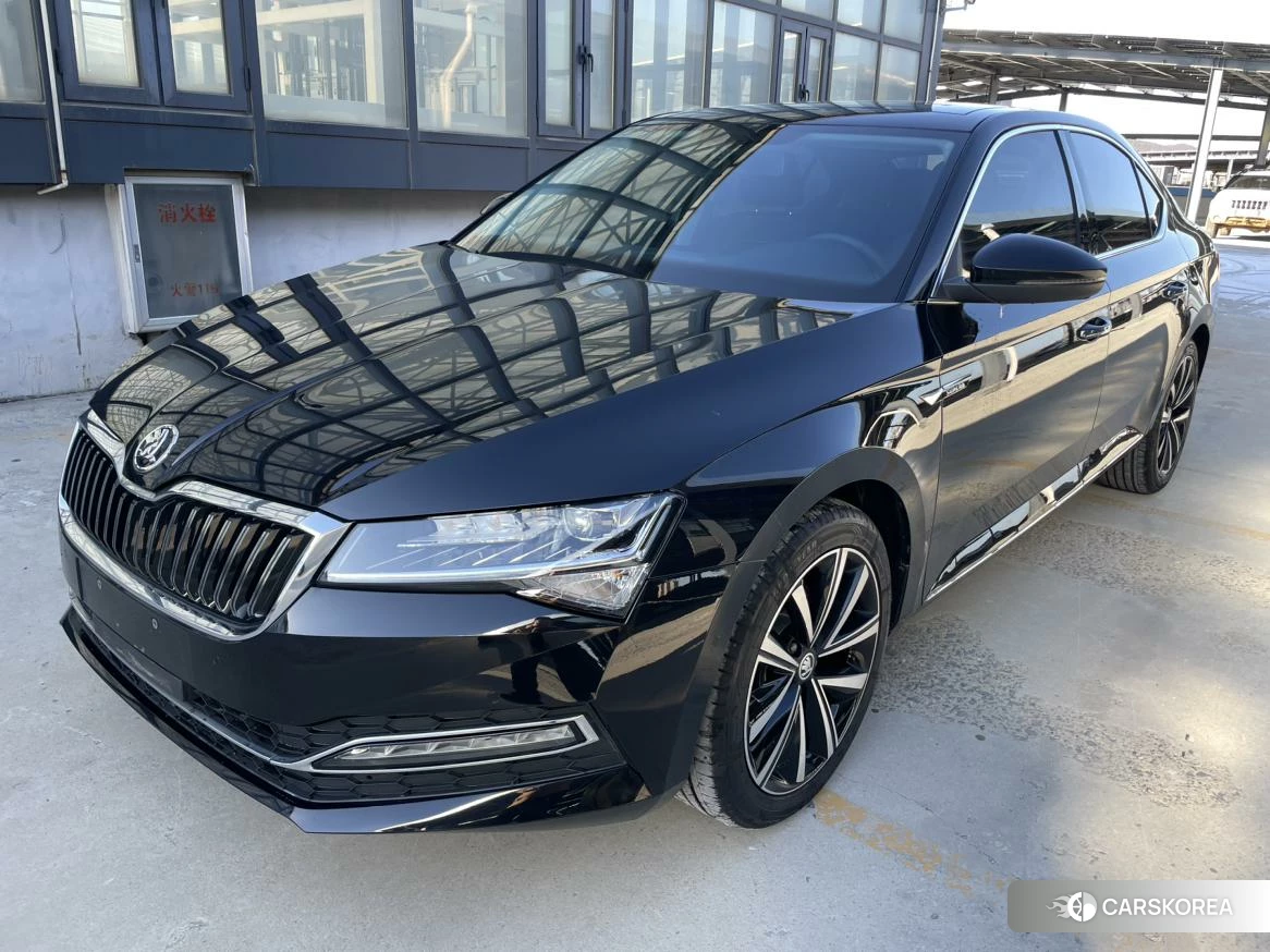 Skoda Speed pie id 4405991 из Китая 18