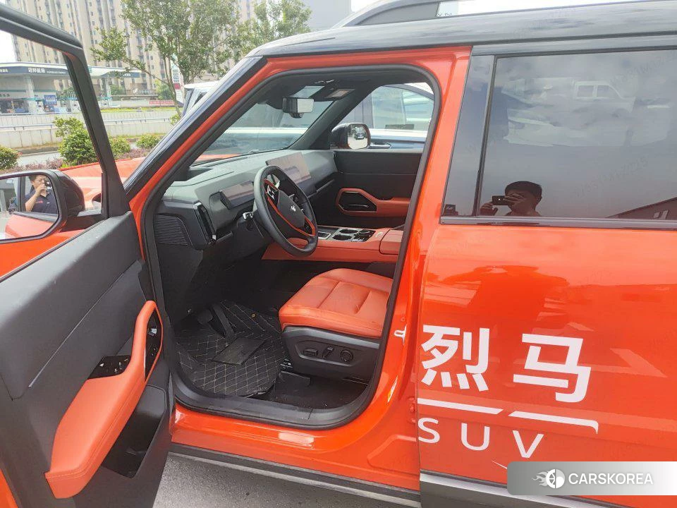 Ford Zhiqu Lie Ma id 4441082 из Китая 10