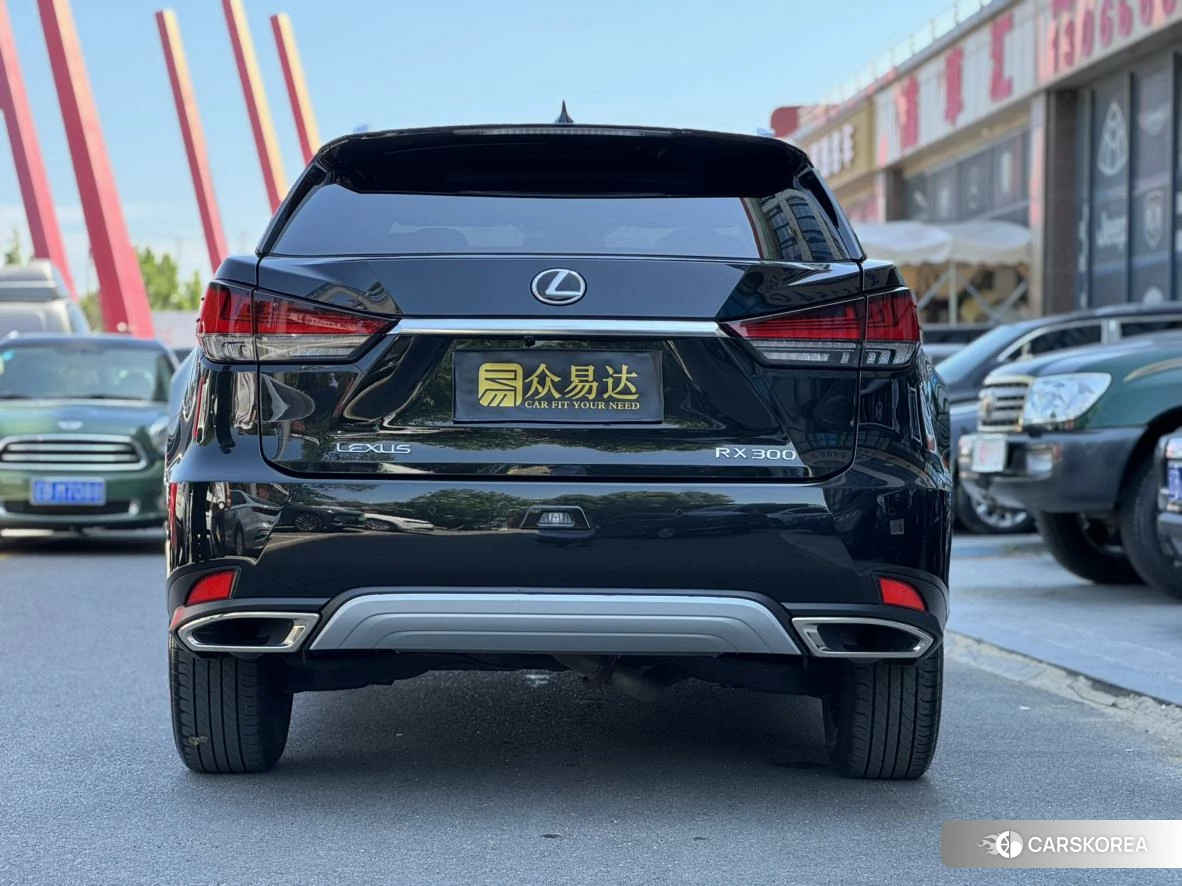 Lexus RX id 4487214 из Китая 29