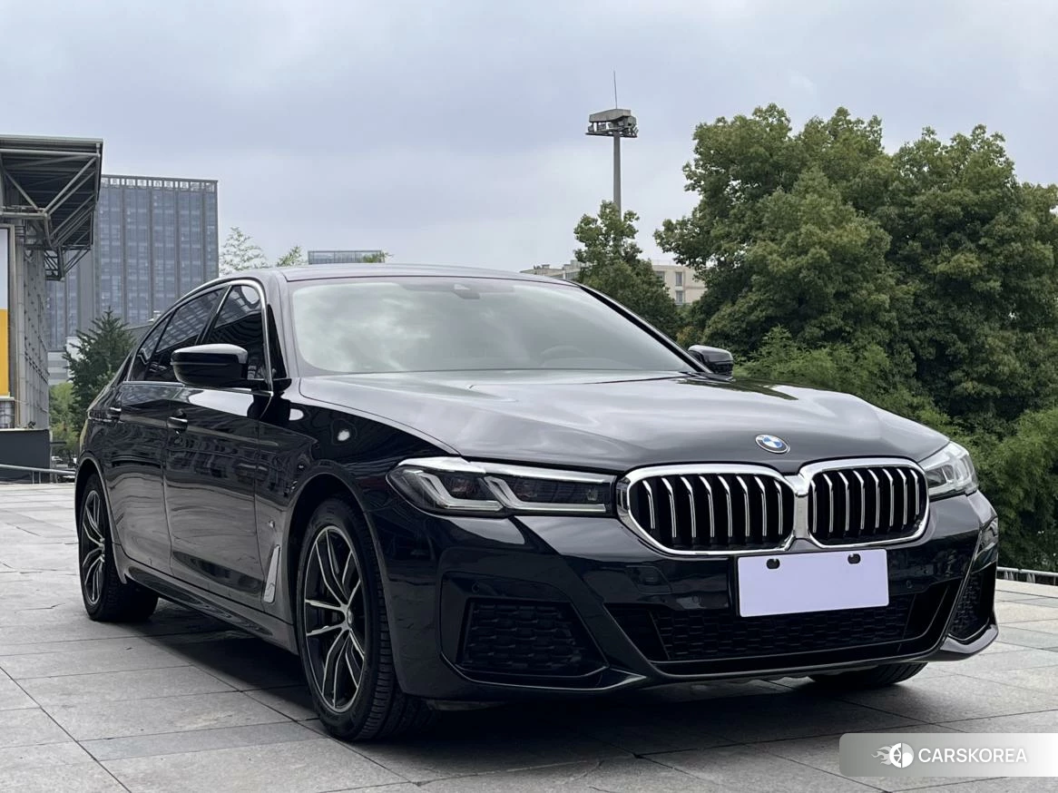 BMW 5 series PHEV id 4454143 из Китая 20