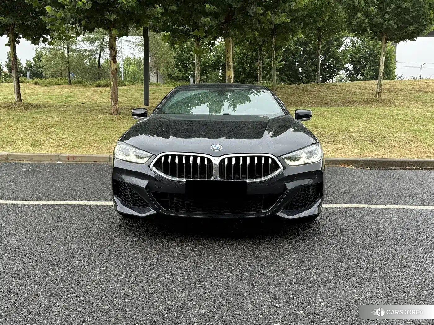 BMW 8 series id 4545658 из Китая 10