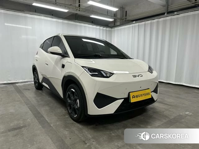 BYD Seagull id 4028236 из Китая 20