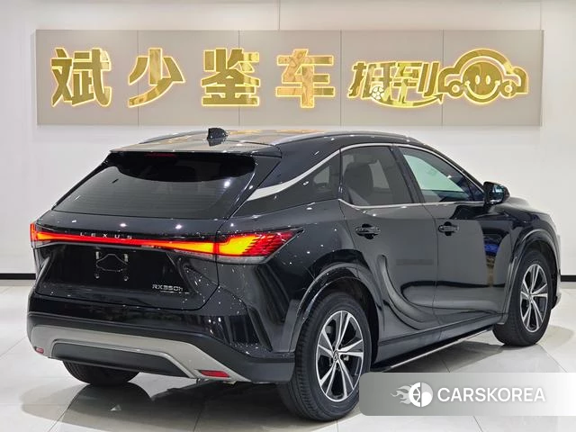 Lexus RX id 4261298 из Китая 10