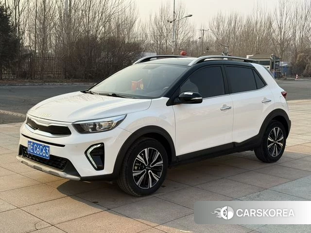 Kia Yi Ran id 4313558 из Китая 19