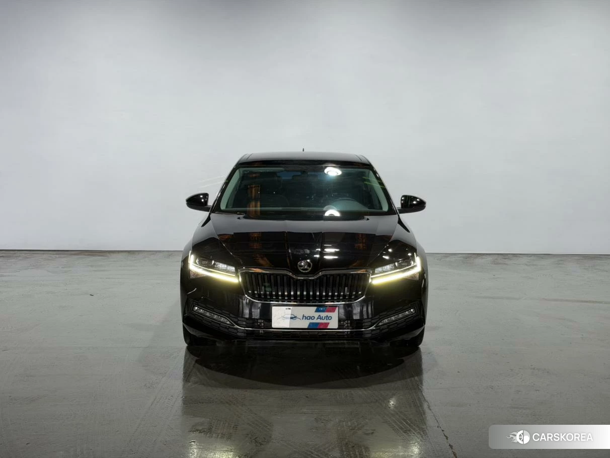 Skoda Speed pie id 4468061 из Китая 13