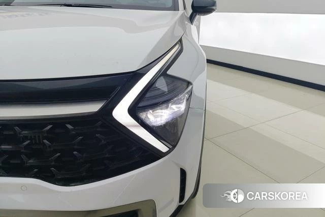 Kia Lion Platinum expands the world id 4208699 из Китая 17