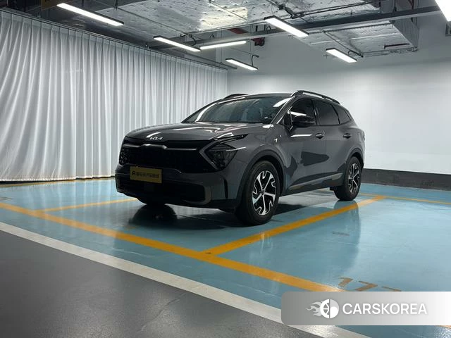 Kia Lion Platinum expands the world id 4277449 из Китая 20
