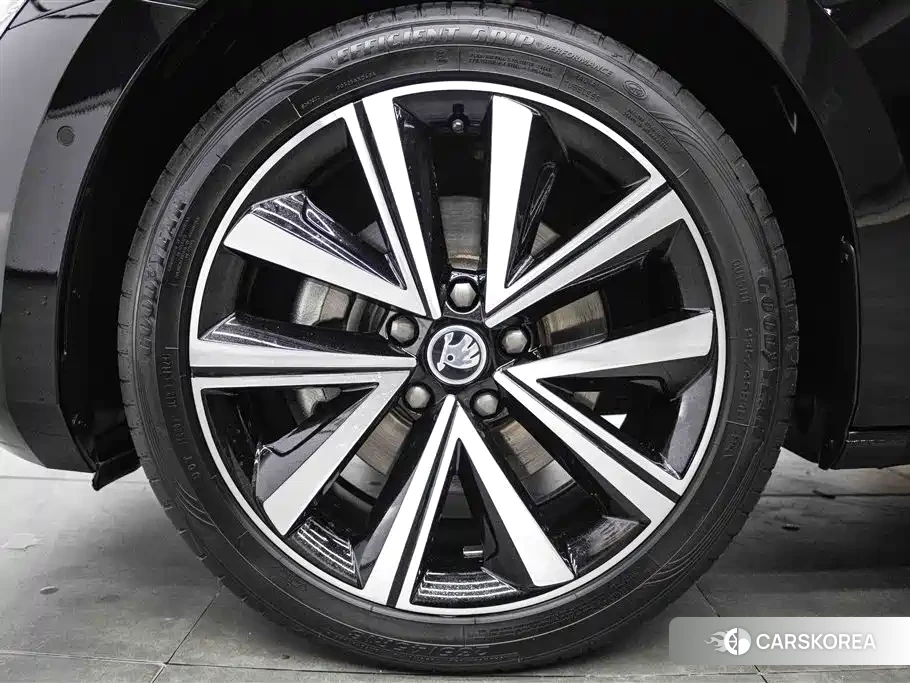 Skoda Speed pie id 4559648 из Китая 29