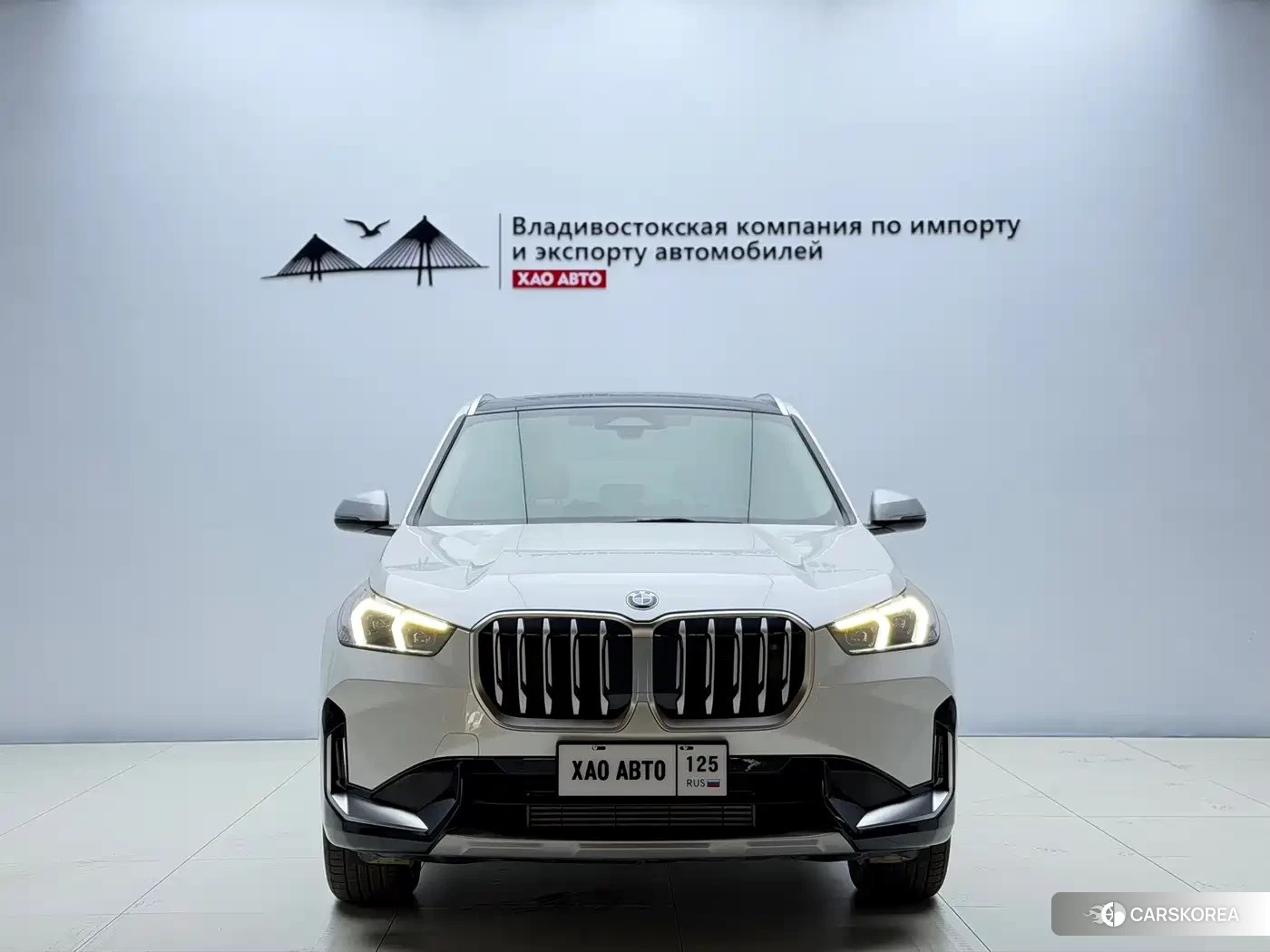 BMW X1 id 4644517 из Китая 24