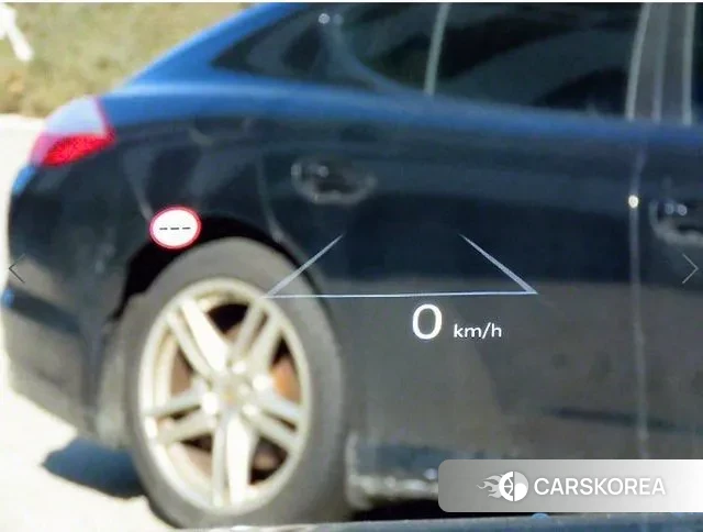 Hyundai Santa Fe (MX5) id 2929939 из Кореи 20