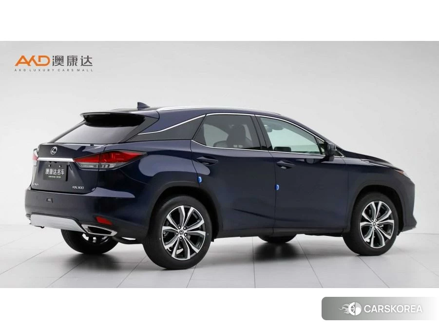 Lexus RX id 4454352 из Китая 10